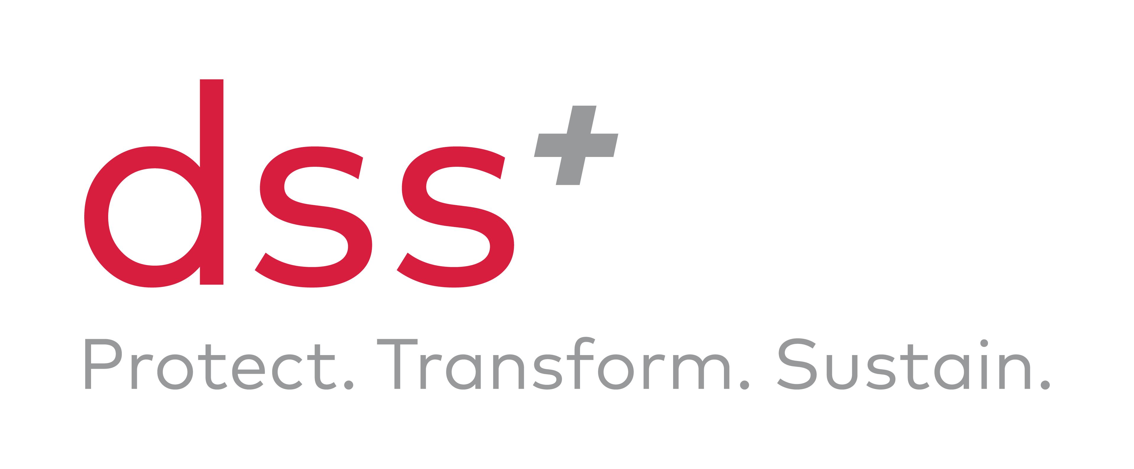 dss+ logo with tagline