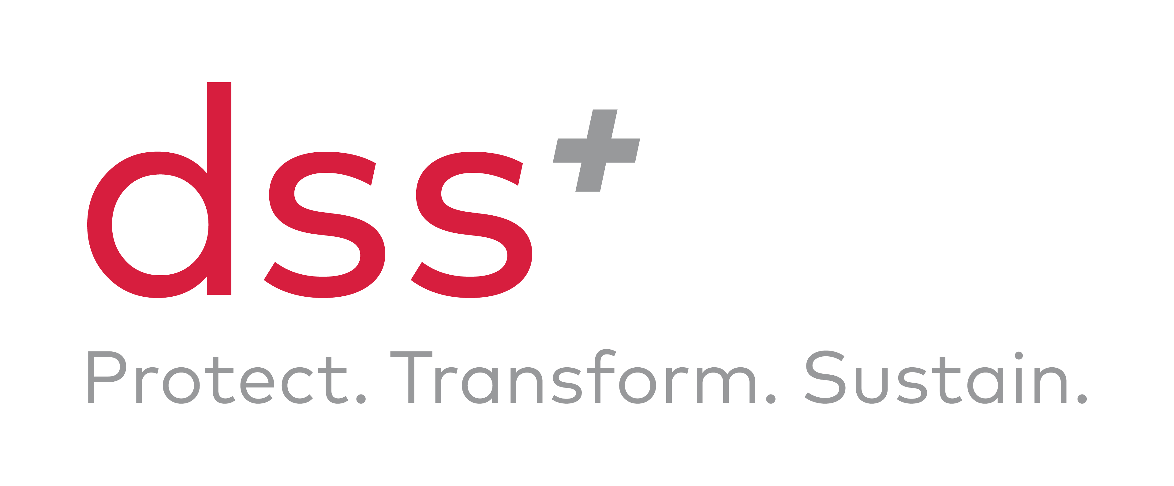 dss+ logo with tagline